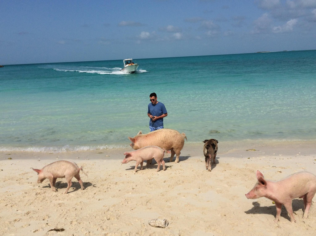 Pig Beach-斯丹尼尔岛必去景点