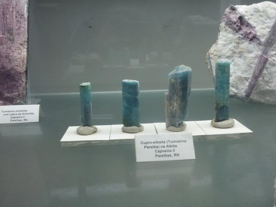 Northeast Museum of Minerals and Gems景点图片