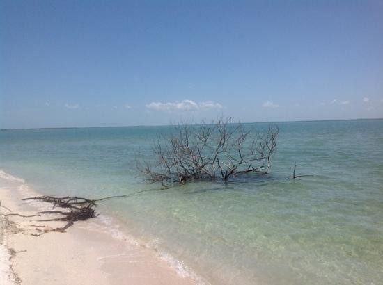 Isla Aguada-坎佩切州必去景点