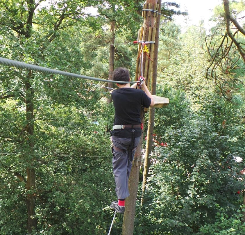 Go Ape Wendover景点图片