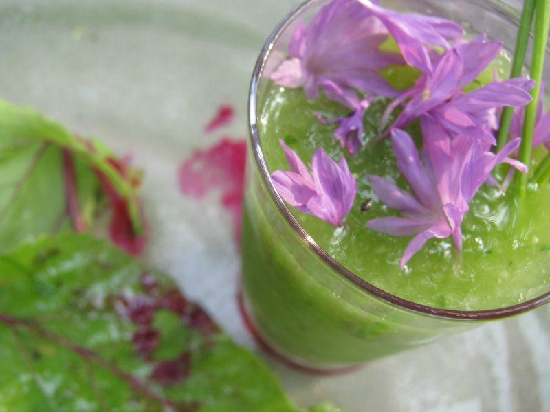 Schipluiden餐馆和美食-Op Hodenpijl