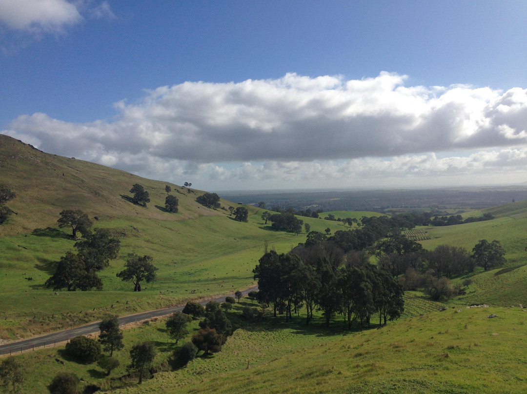 Barossa Taste Sensations - Day Tours景点图片