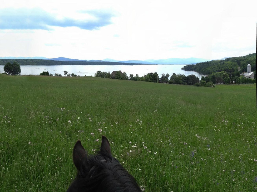 Centre Equestre Le Vent du Sud-Piopolis必去景点
