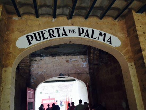 Plaza de Toros de Palma de Mallorca-马洛卡帕尔马必去景点