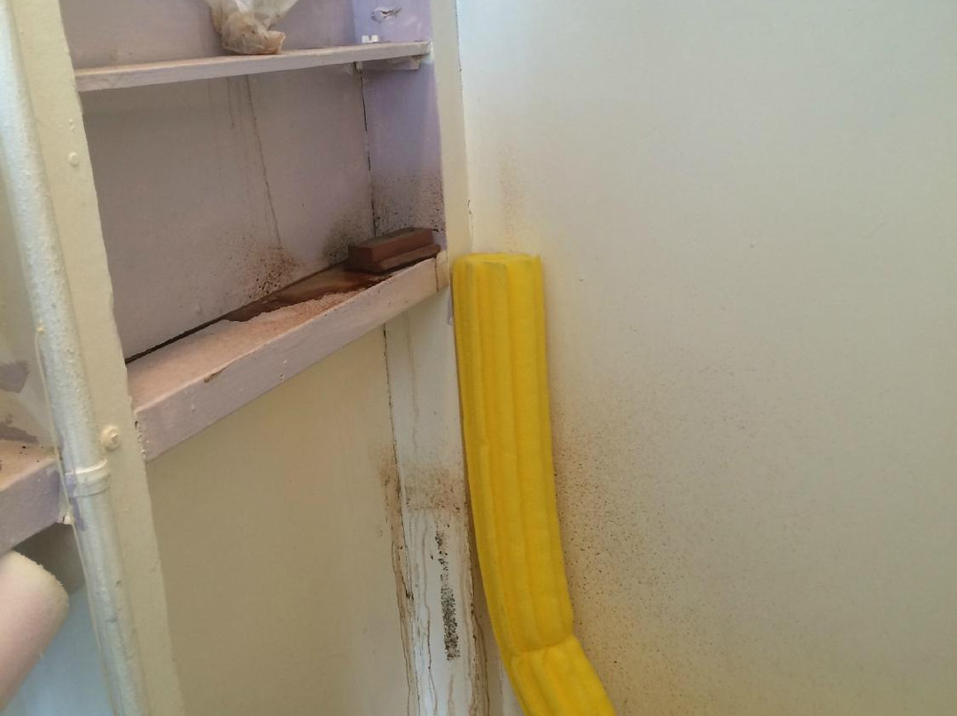 Silver Gull Beach Club-Breezy Point必去景点