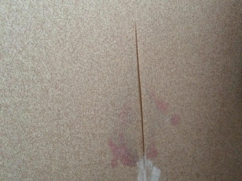 吉瑞酒店公寓主图