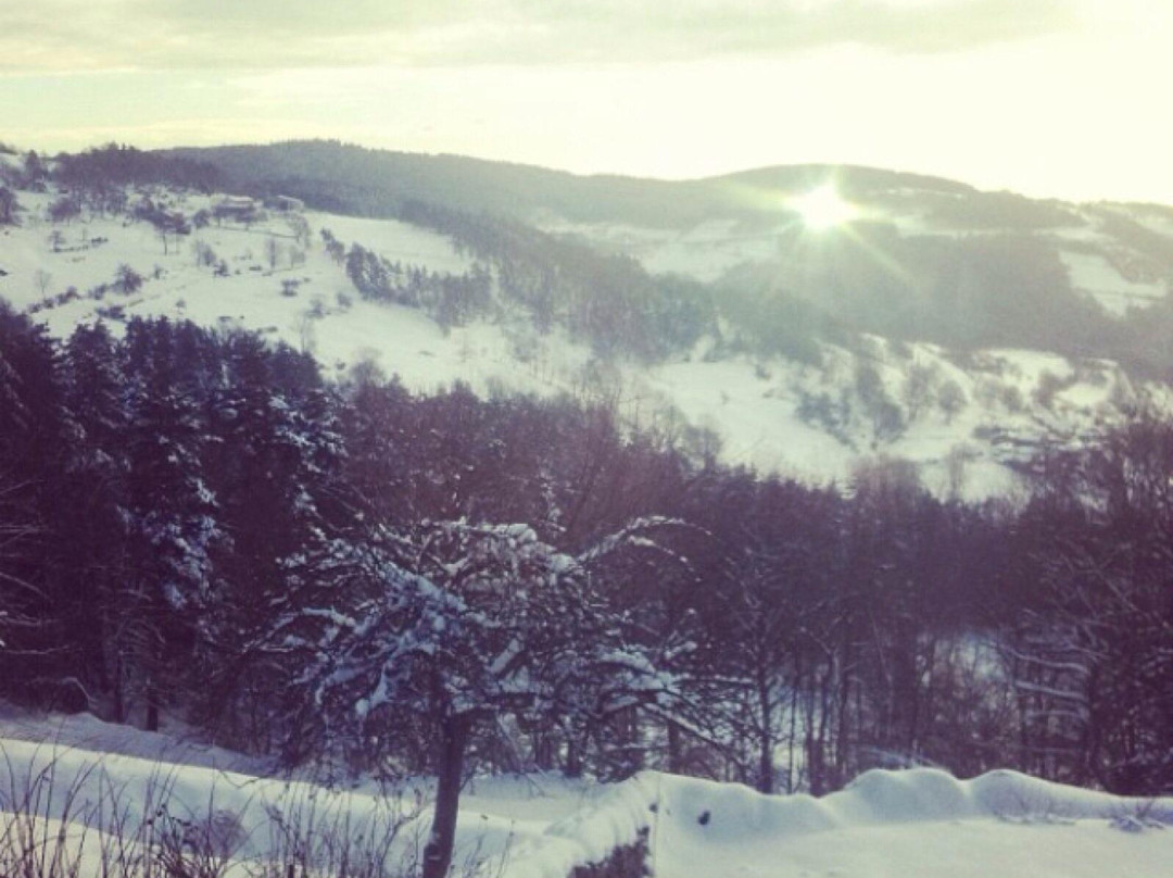 La Comboursiere主图