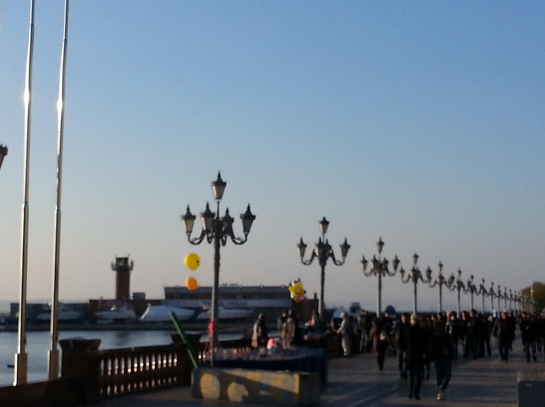 City Embankment-海参崴必去景点