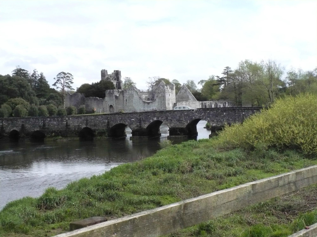Adare Castle-利默里克郡必去景点