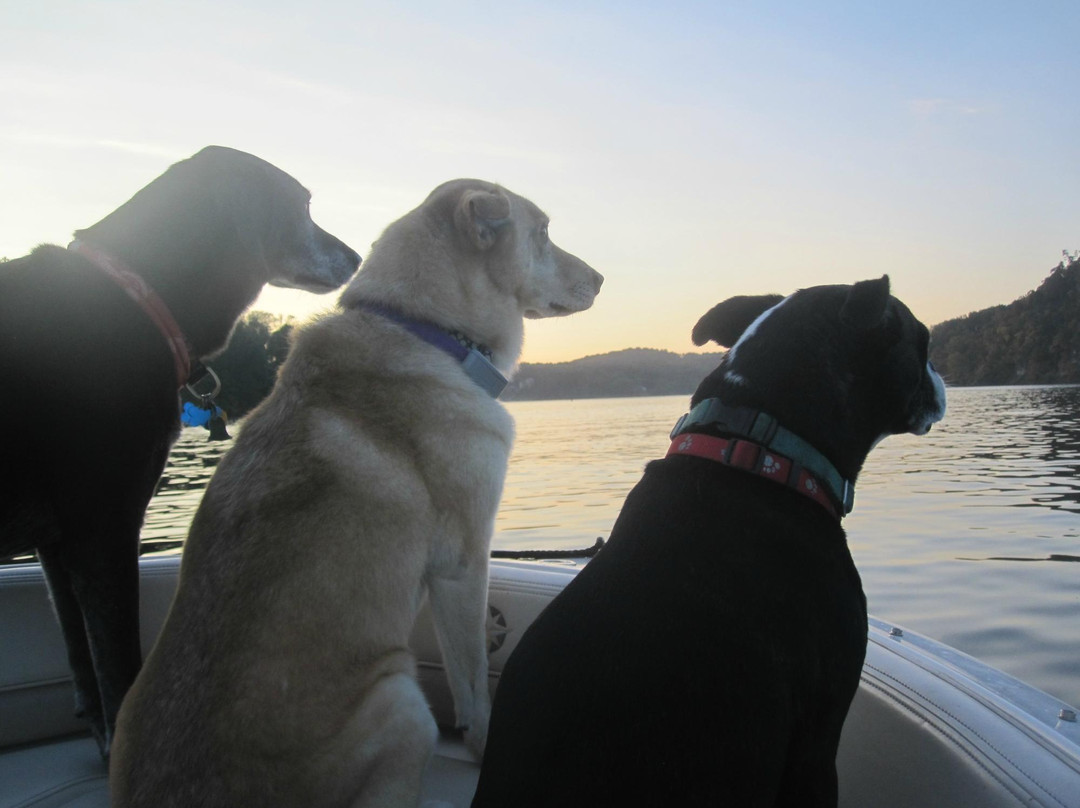 Arrowhead Resort主图