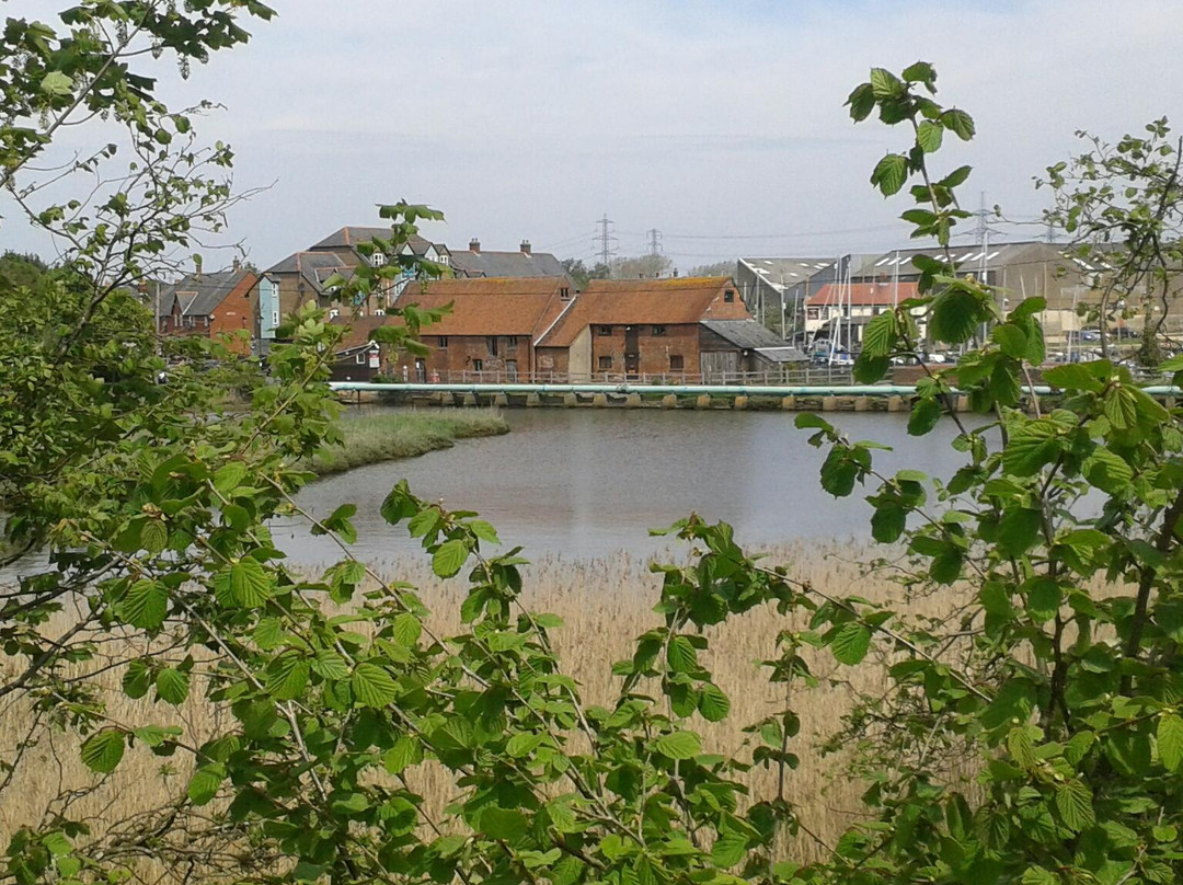 Eling Tide Mill Experience景点图片