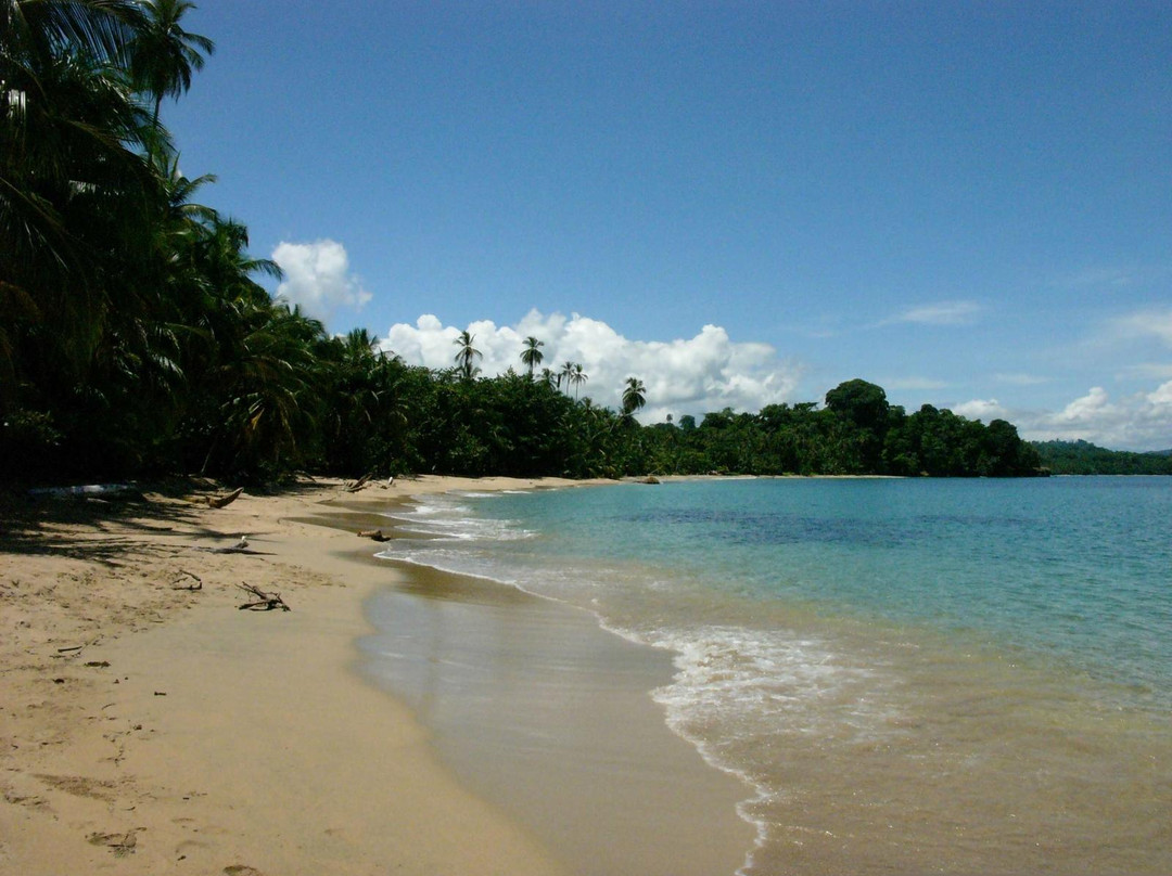 Playa Puerto Viejo景点图片