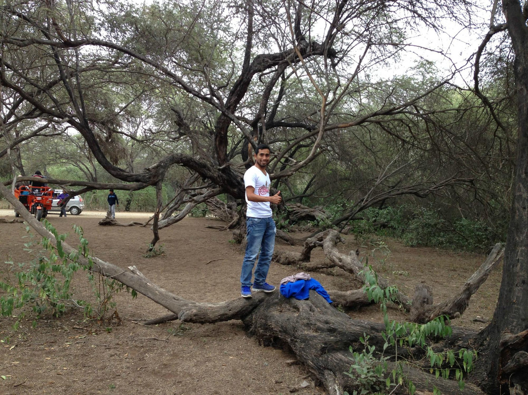 Santuario Histórico Bosque de Pómac-Ferrenafe必去景点