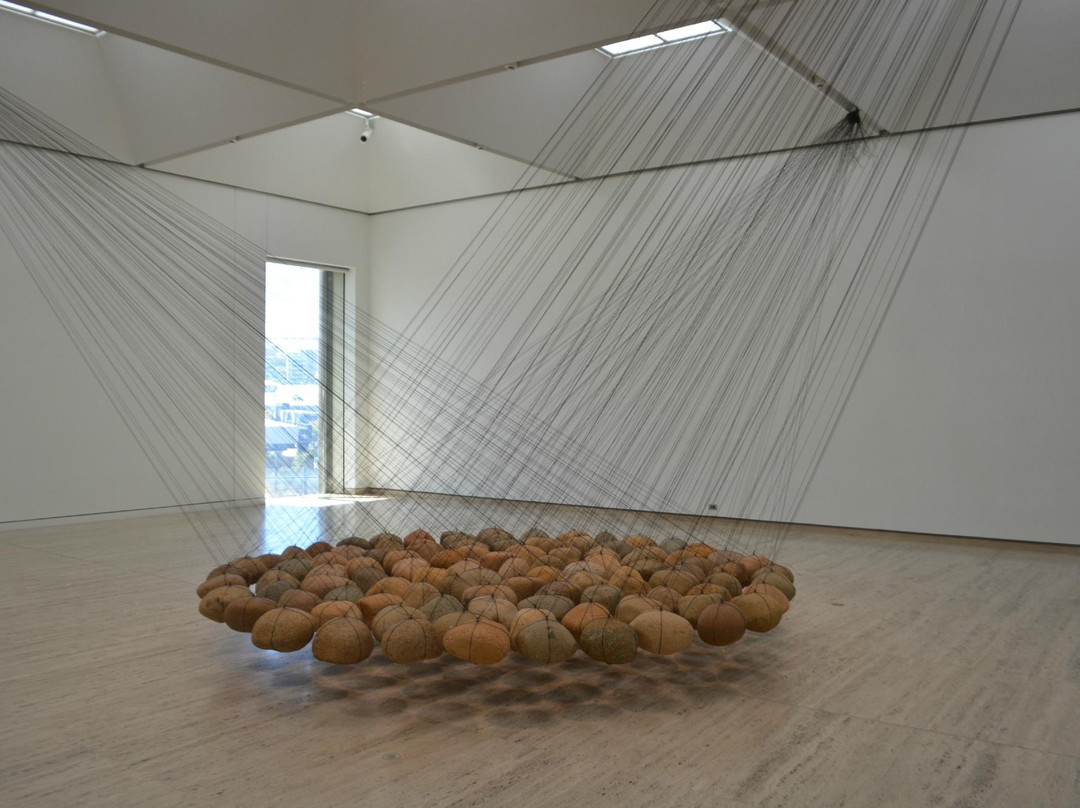 新南韦尔斯美术馆-悉尼必去景点