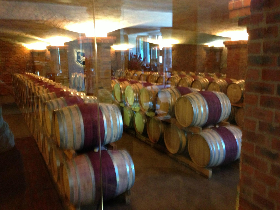 Cape with Pim-Bloubergstrand必去景点