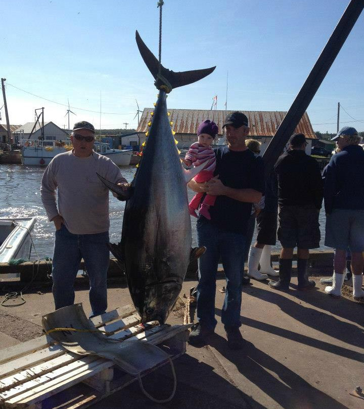 Two Guys Tuna Charters-North Lake必去景点