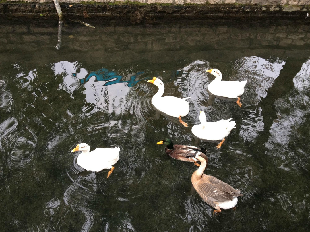 山东政协大厦维景大酒店主图