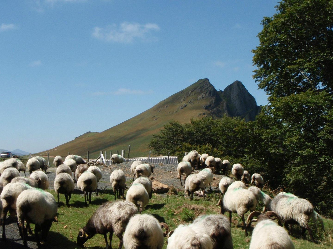 Artzain-Etchea主图