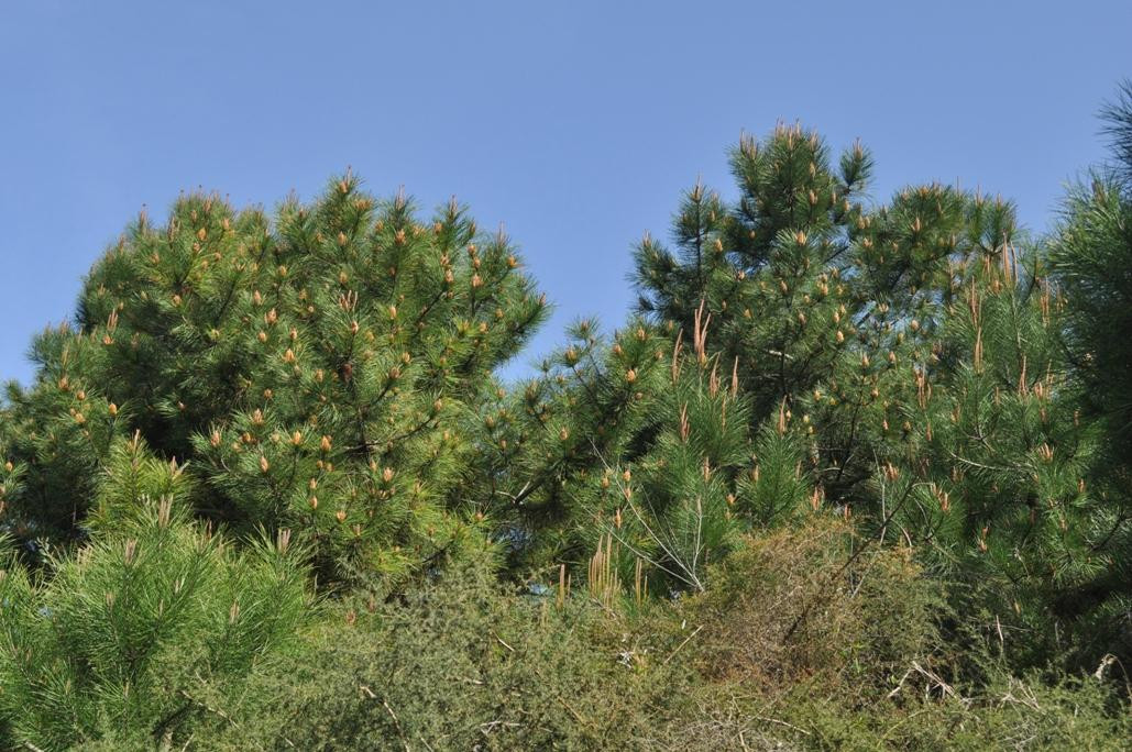 Riserva Naturale Ca' Roman-Pellestrina必去景点