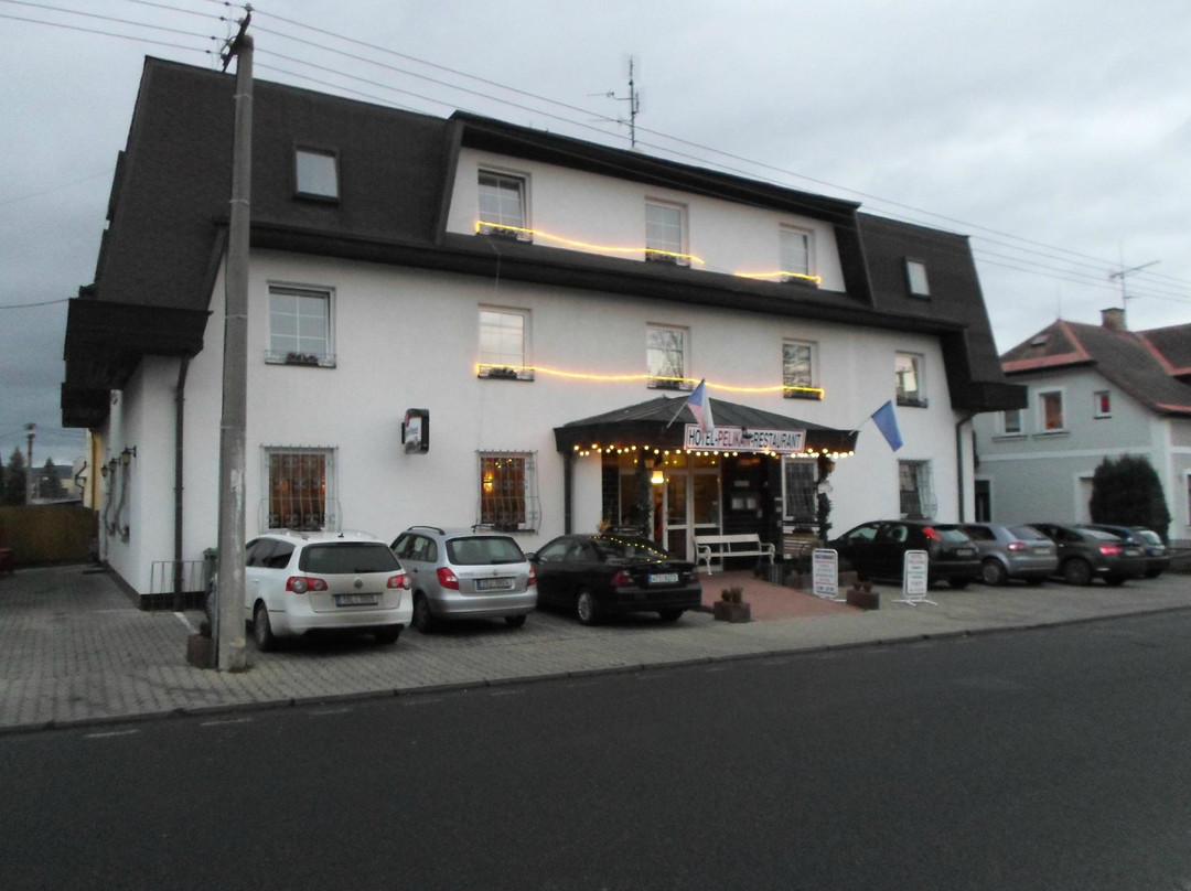Hotel Pelikan主图