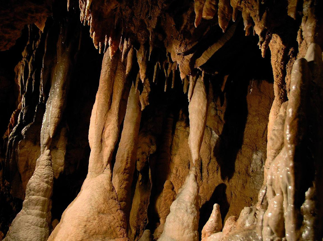 Grotte di Equi景点图片