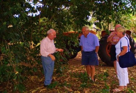 North Queensland Gold Coffee Plantation-马里巴必去景点