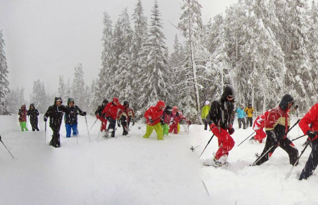 Cross Country Ski School Alta Badia Easydolomites-圣卡夏诺必去景点