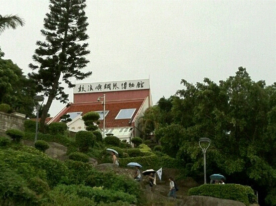 厦门钢琴博物馆景点图片