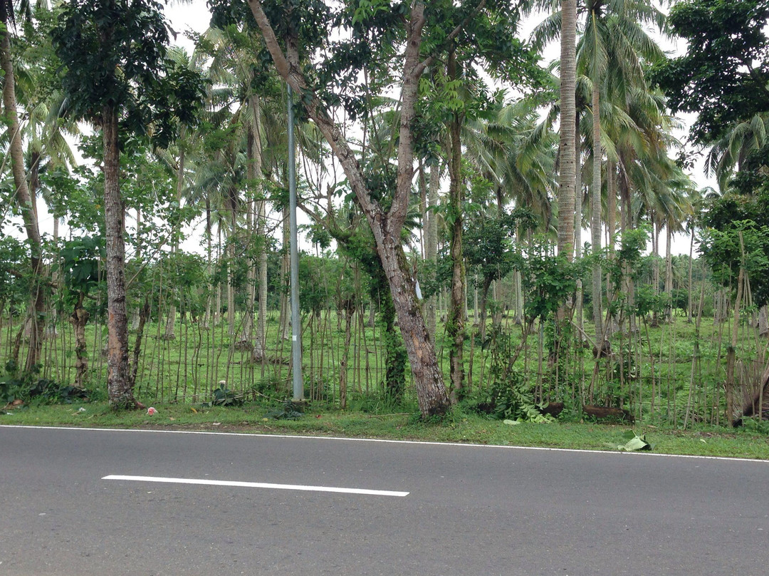 银蔻酒店嘉宝主图