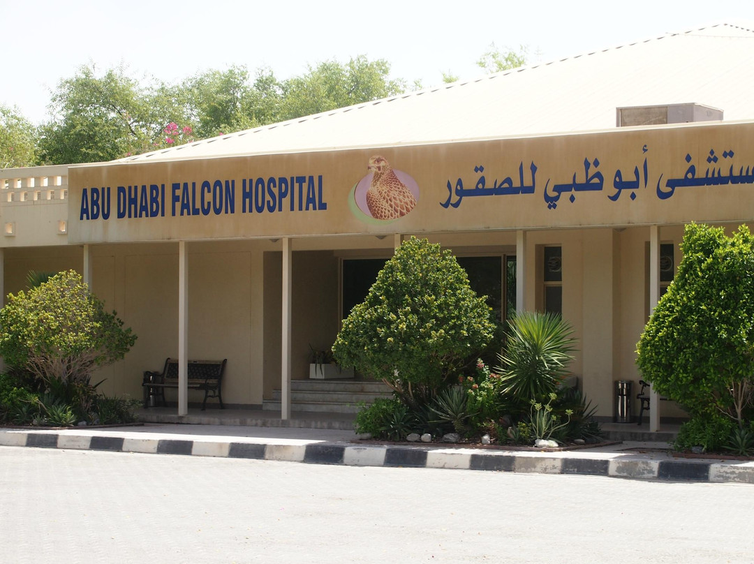 猎鹰医院-阿布扎比必去景点