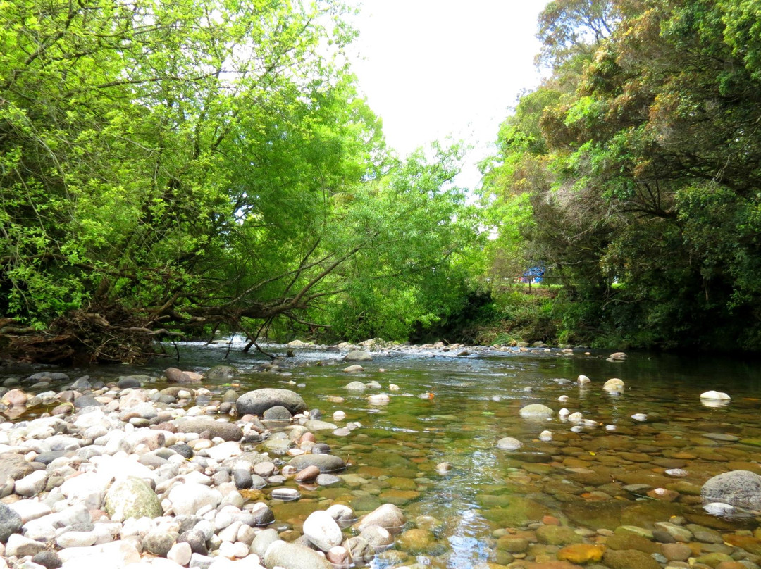 Patea River景点图片