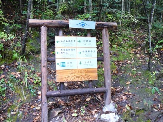 上季节海景点图片
