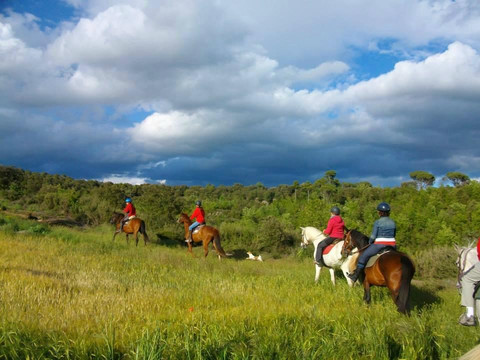 Cavalls de Trulls-Viver必去景点