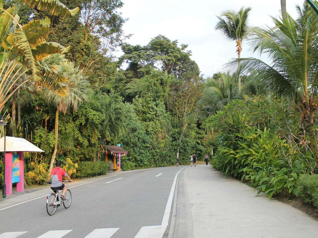 下畅游圣淘沙自然探索中心-圣淘沙岛必去景点