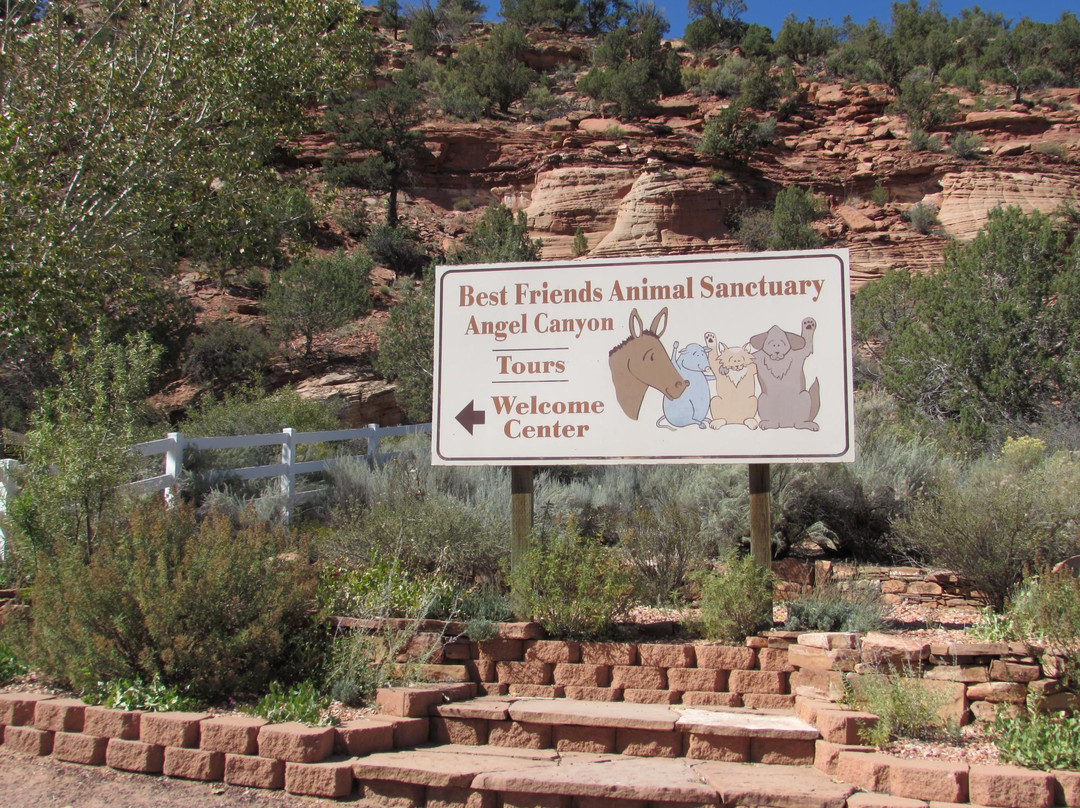 Best Friends Animal Sanctuary-卡纳布必去景点