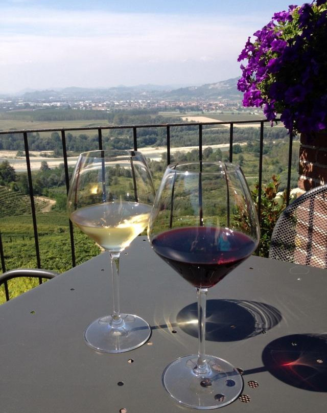 Azienda Vitivinicola Boffa Carlo-巴尔巴雷斯科必去景点