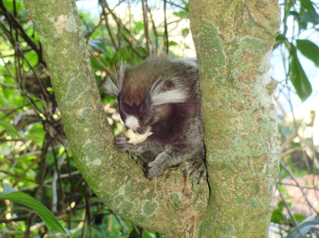 Claudio Coutinho Trail-里约热内卢必去景点