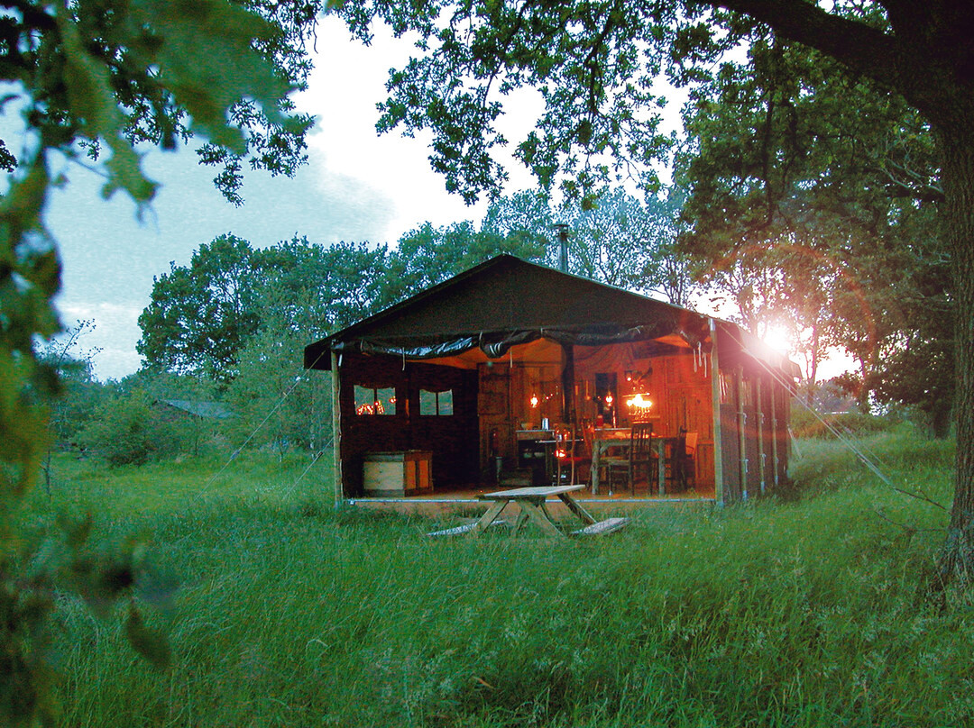 Upper Shadymoor Farm