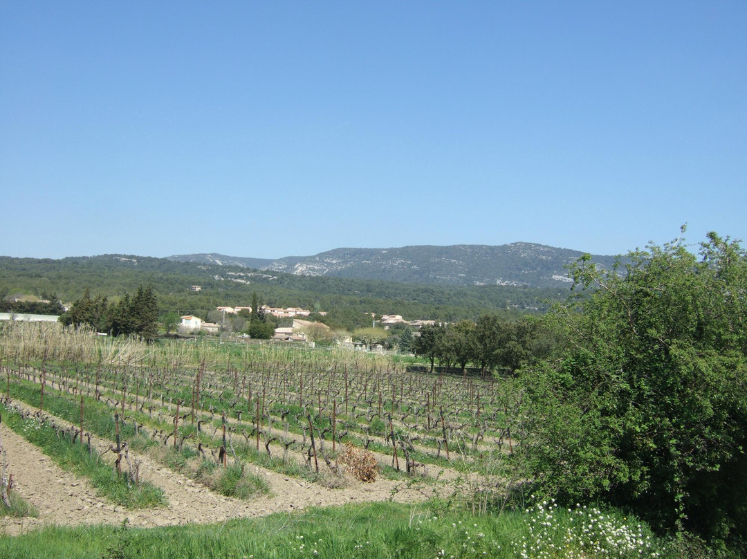 Hotel Font de Lauro主图