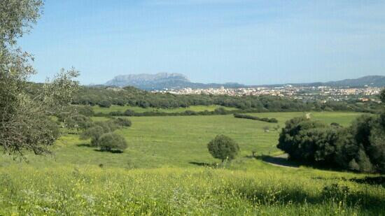 Drummi e Smulza Bed and Breakfast主图