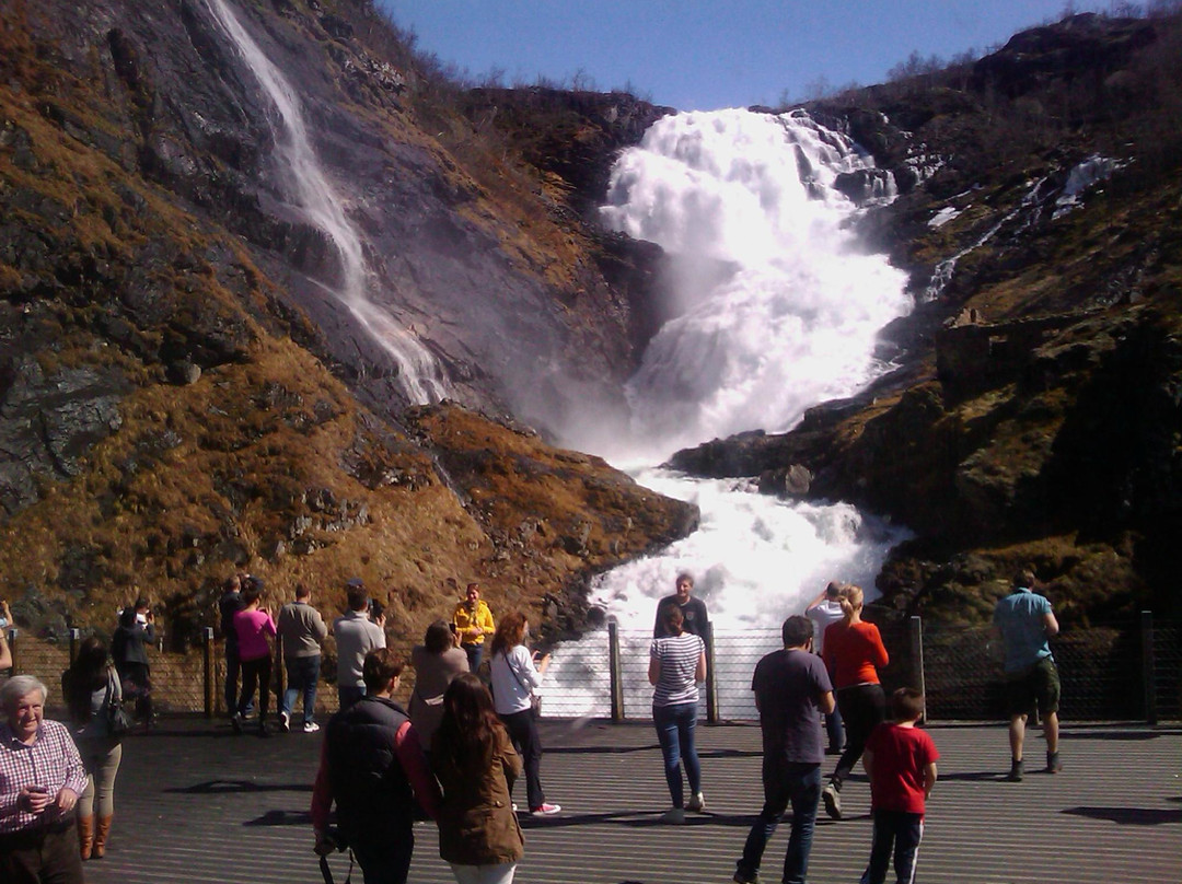 FjordSafari-弗洛姆必去景点