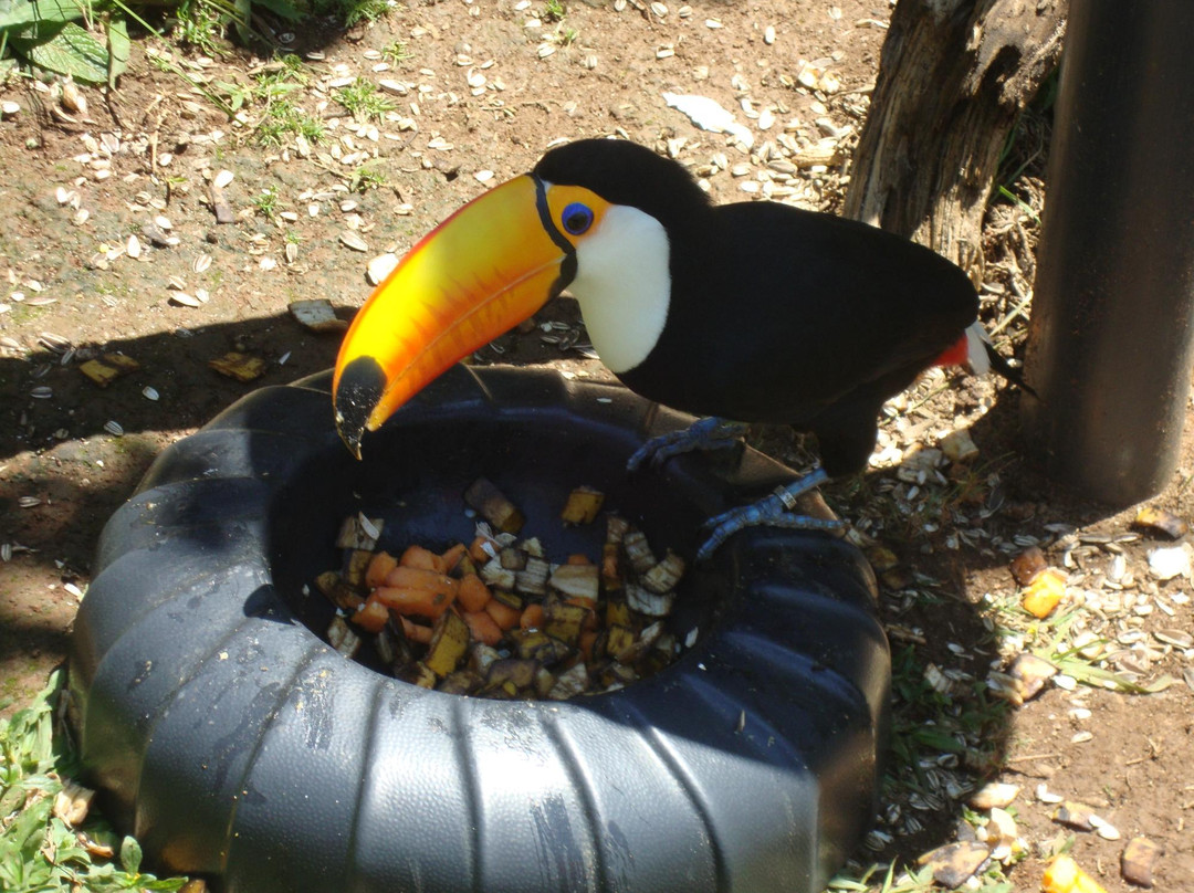 Gramadozoo-格拉玛多必去景点