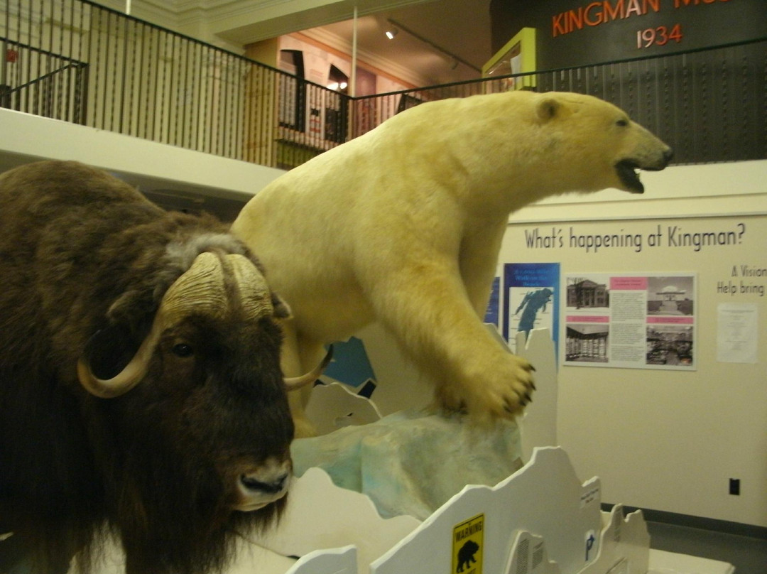 Kingman Museum景点图片