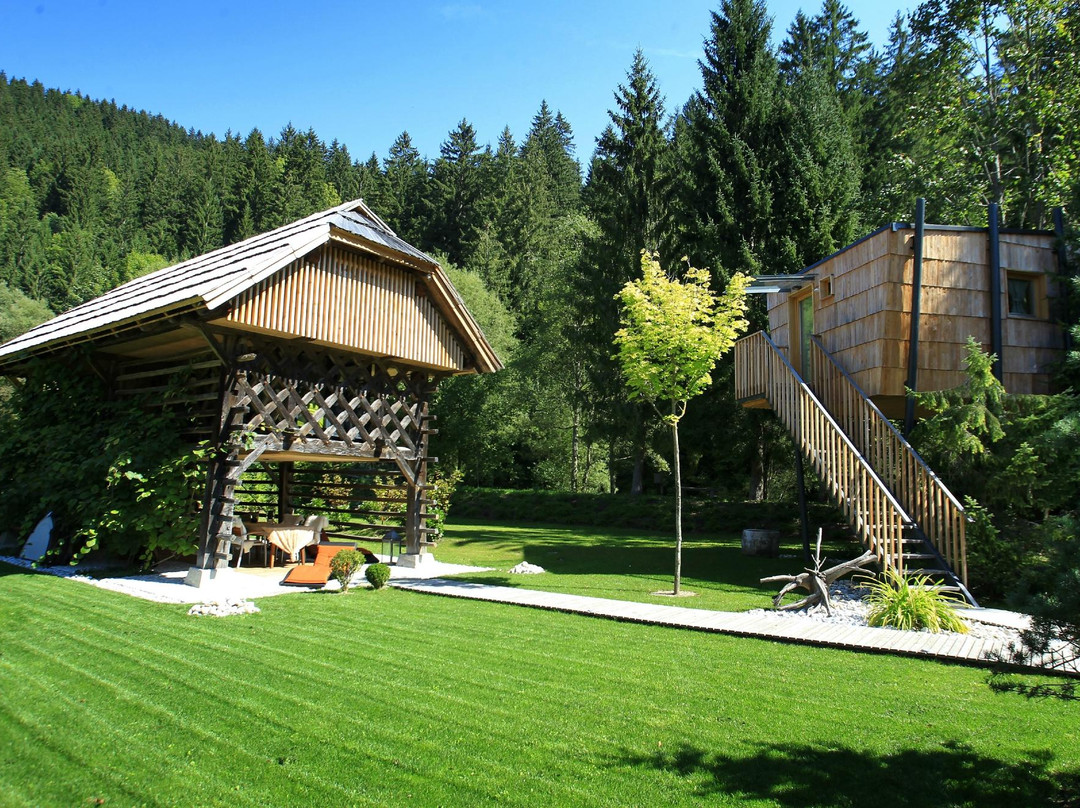 Recica ob Savinji酒店住宿-Hisa Raduha