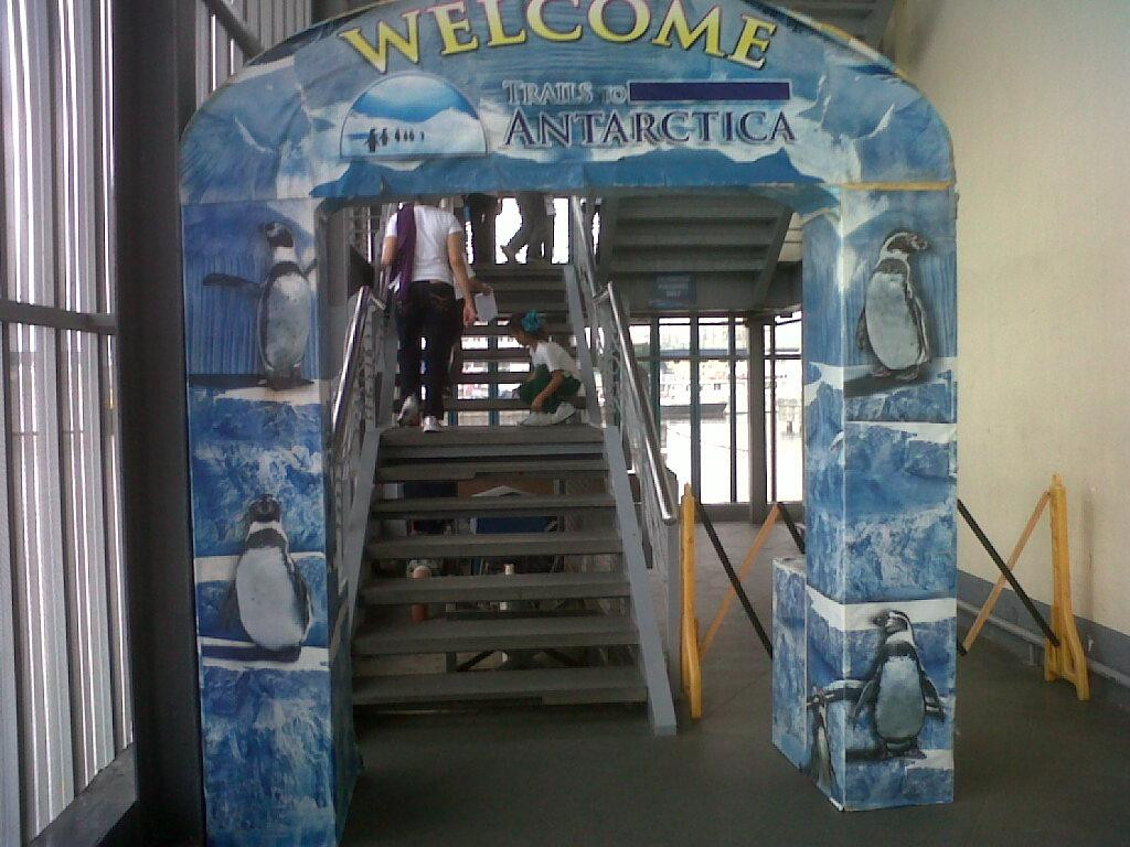 马尼拉海洋公园-马尼拉必去景点