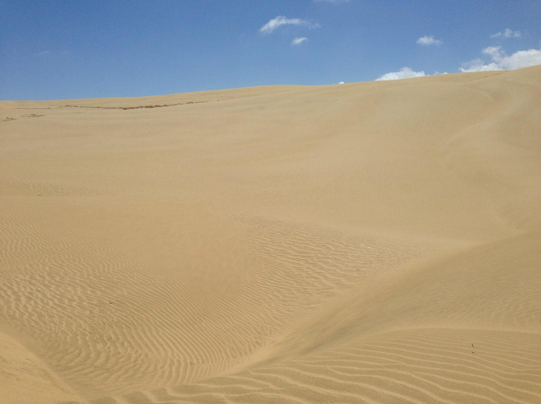 Te Paki Sand Dunes景点图片