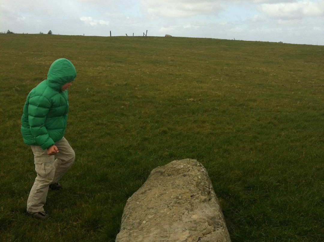 Rathcroghan Tours-Carrowreagh必去景点