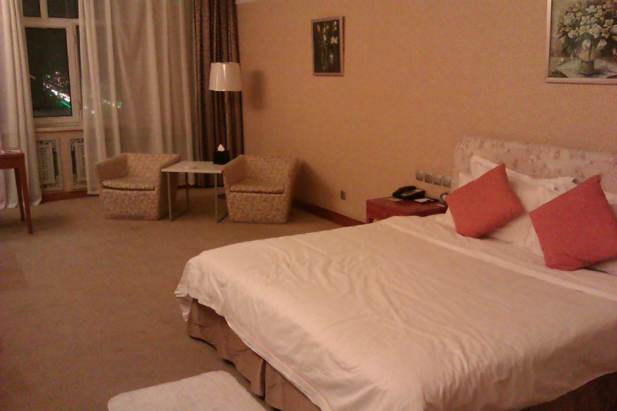 友谊国际酒店-客卧