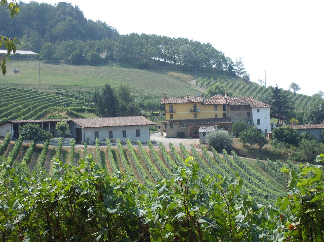 Cascina Sòt-蒙福特-达尔巴必去景点