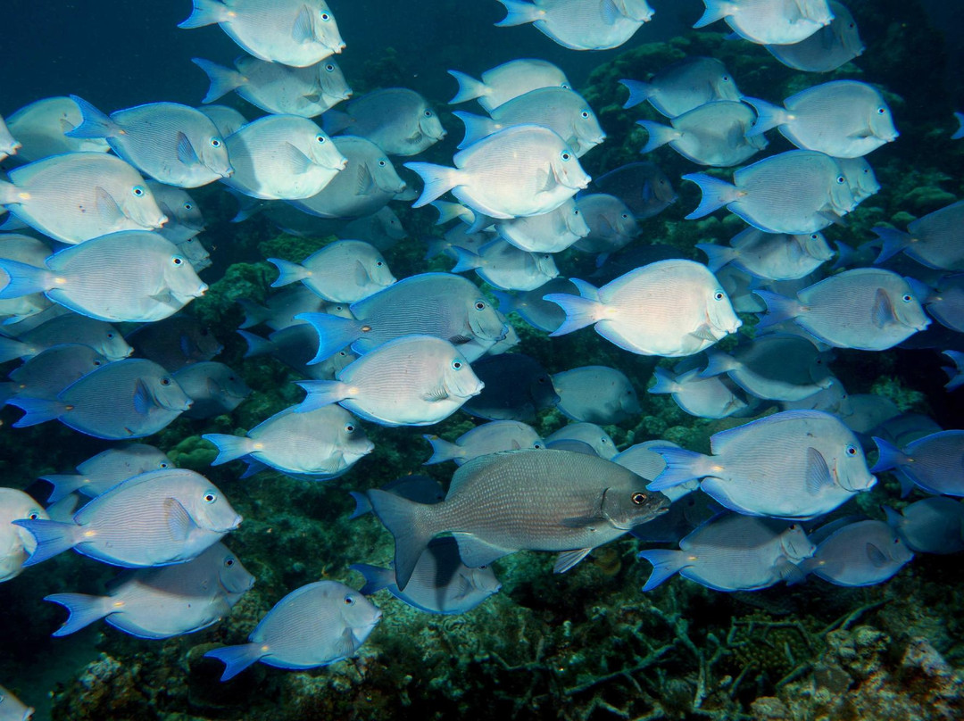 Devil's Grotto-大开曼岛必去景点